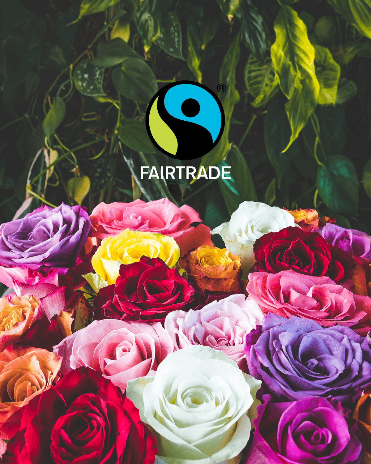 Fairtrade