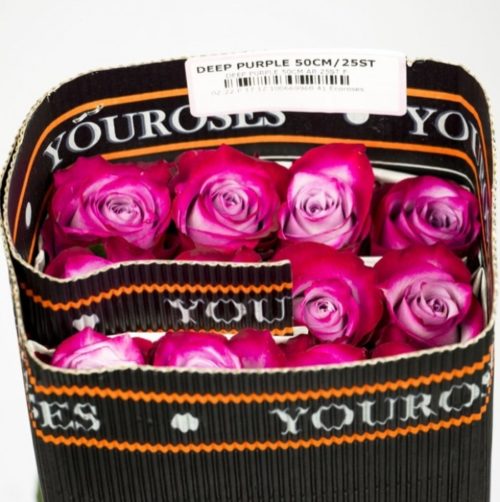 You Roses Deep Purple Packing