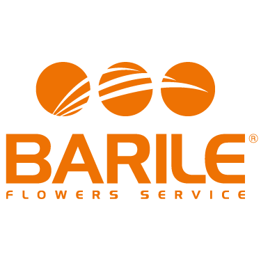 Barile Flowers Service