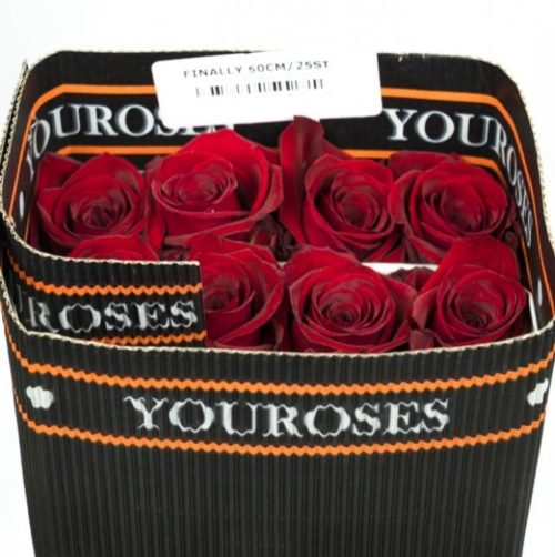 You Roses Finally Packing