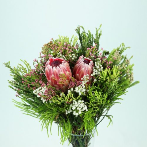 Bouquet Protea