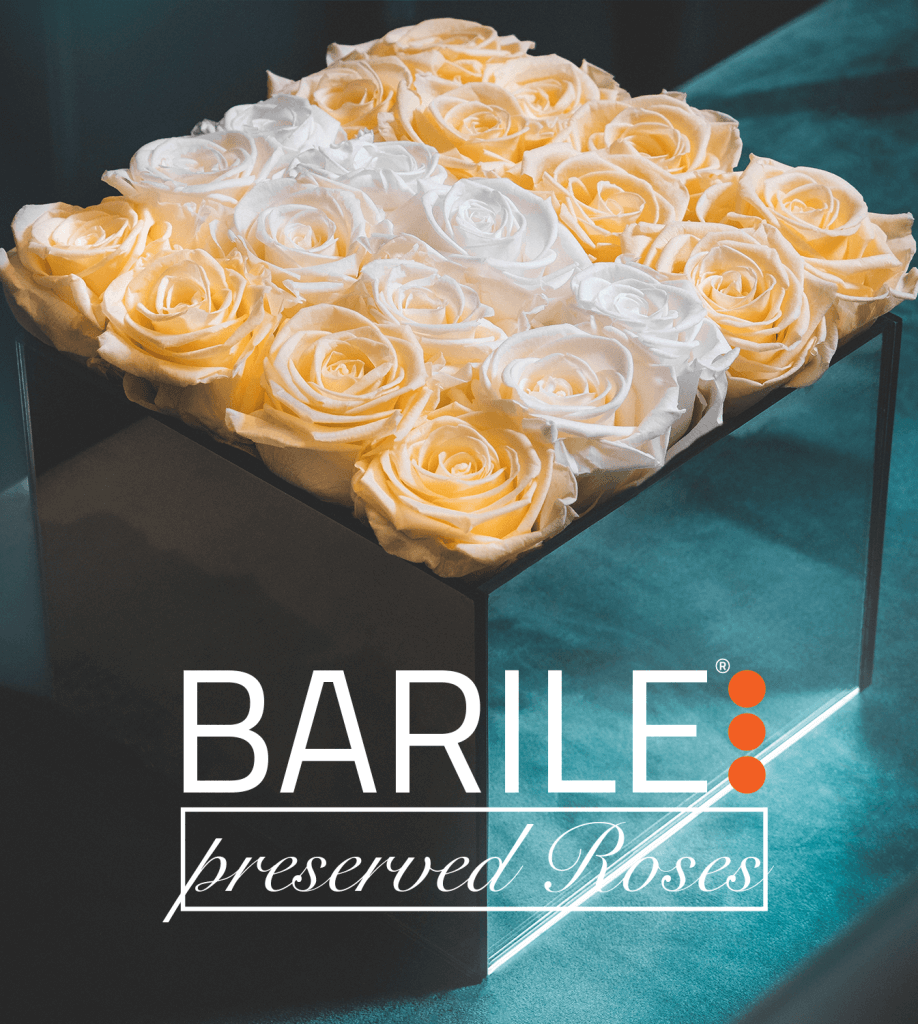 WELCOME BARILE PRESERVED ROSES