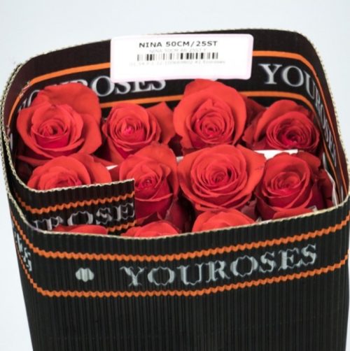 You Roses Nina Packing