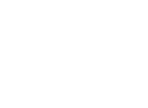 Barile Flowers Service