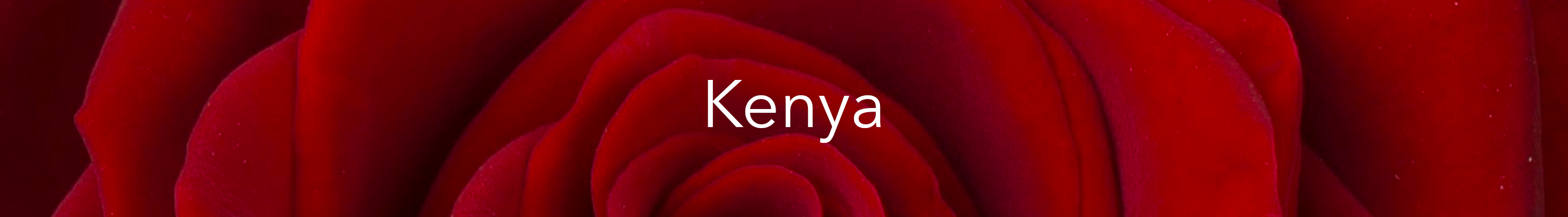 kenya